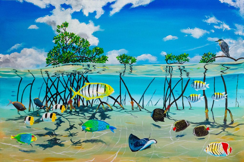 32 mangrove paradise_17A2067_5238 x 3485-web